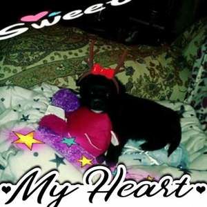 Meet your Posher, Catherine